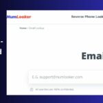 Numlooker - Review And Guide!