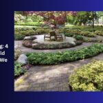 Garden of Healing 4 Plants That Could Change the Way We Treat Illness