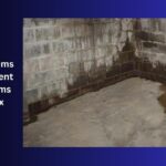 Common Problems with Old Basement Drainage Systems and How to Fix Them