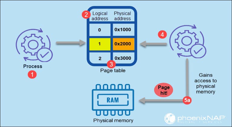 Comparing Online Paging Strategies