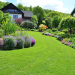 10 Easy and Affordable Ways to Upgrade Your Residential Landscaping