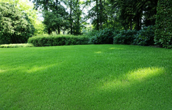 7 Tips for Maintaining Your Lawn and Garden During the Summer