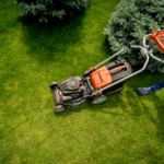 The Vital Role of Regular Mowing in Maintaining a Lush Backyard