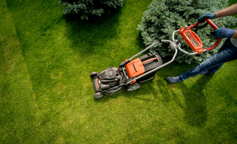 The Vital Role of Regular Mowing in Maintaining a Lush Backyard