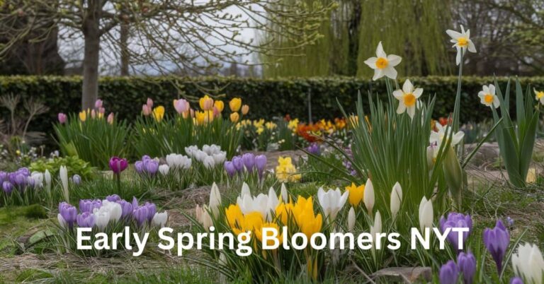 Early Spring Bloomers NYT: A Comprehensive Guide to the Joys of Early Spring Flowers