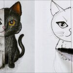 drawing:a4z_-ymtkr8= cat