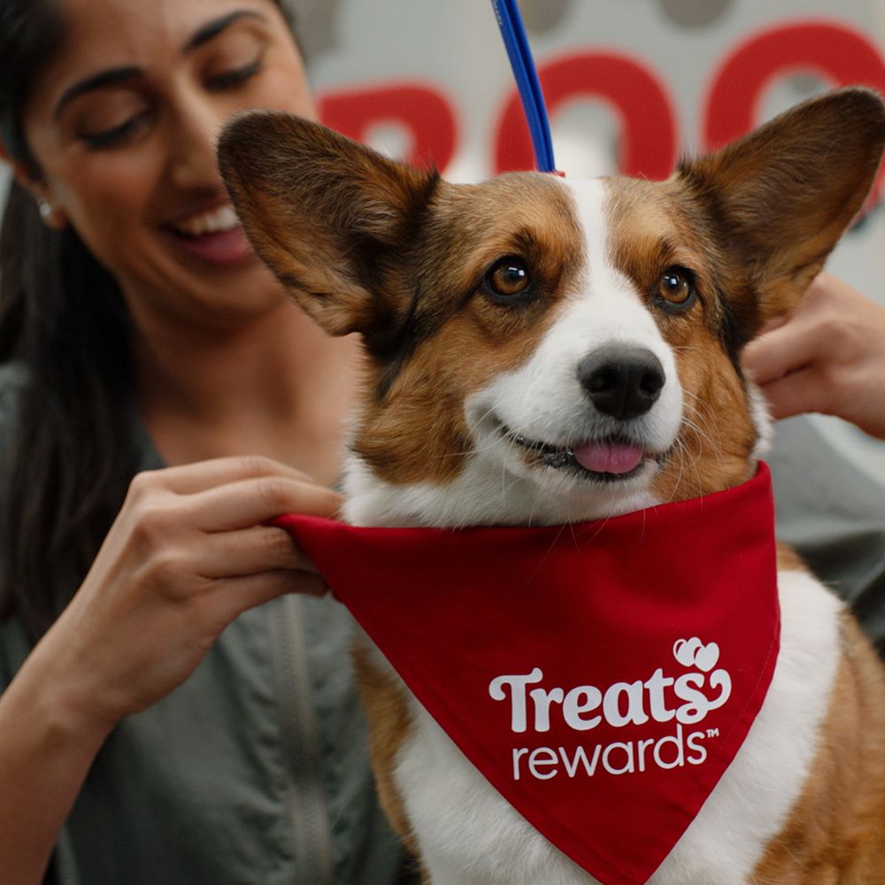 La Cienega PetSmart as a Community Hub for Pet Owners