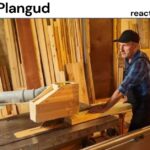 Plangud