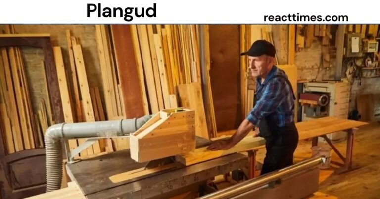 Plangud