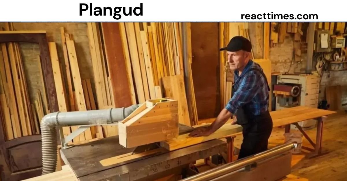 Plangud
