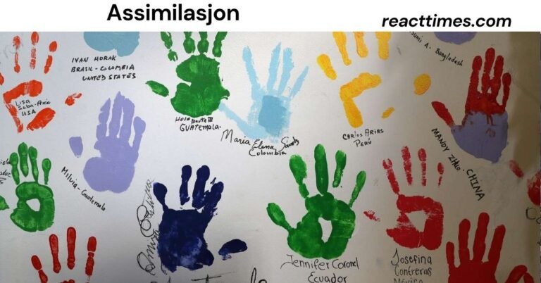 Assimilasjon