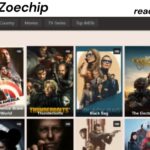 Zoechip