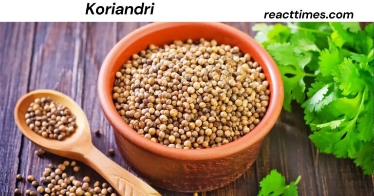 Koriandri