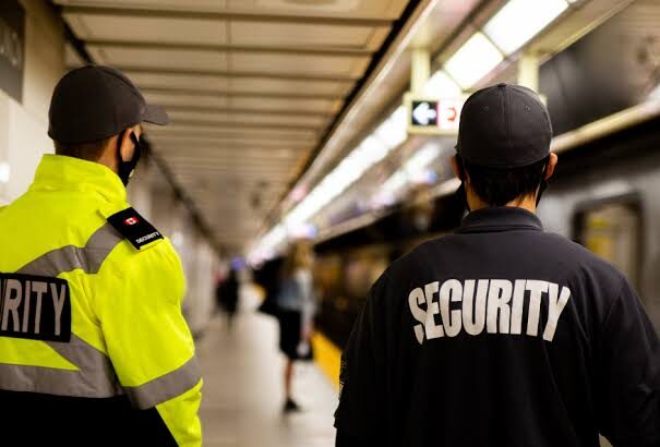 The Role of Private Police Forces in Modern Law Enforcement