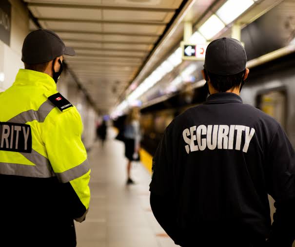 The Role of Private Police Forces in Modern Law Enforcement