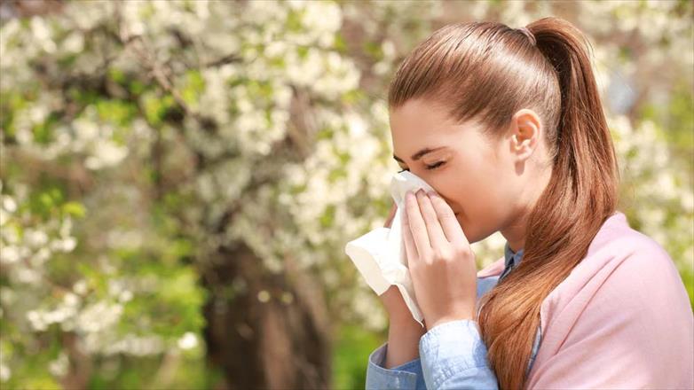 How To Find the Right Treatment for Seasonal Allergies